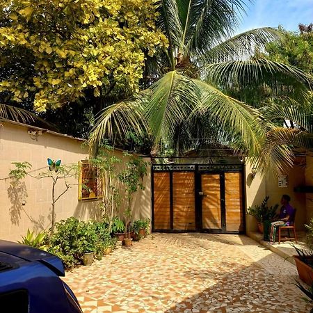 קולולי Busy Bee Apartments מראה חיצוני תמונה