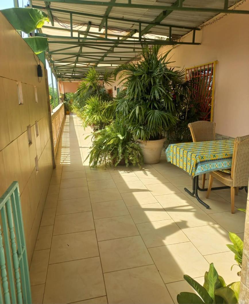 קולולי Busy Bee Apartments מראה חיצוני תמונה
